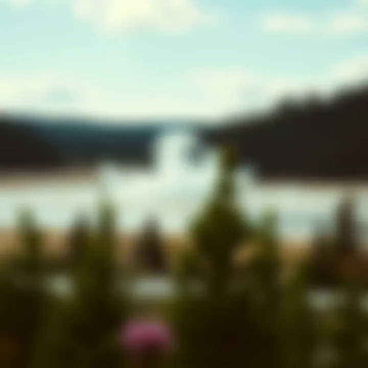 Notable Anticipating the Return of Yellowstone: Dates, Speculations, and Insights