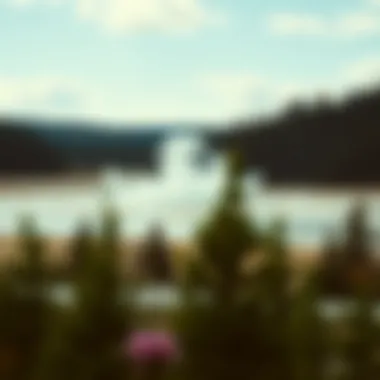 Notable Anticipating the Return of Yellowstone: Dates, Speculations, and Insights Notable Anticipating the Return of Yellowstone: Dates, Speculations, and Insights