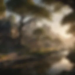 A mystical landscape showcasing the rich world of Tamriel