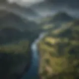 Aerial view of the lush landscapes of Sumeru