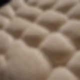 Close-up view highlighting the luxurious memory foam padding