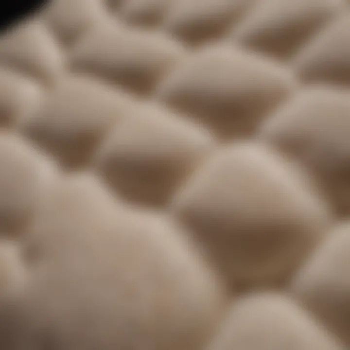 Close-up view highlighting the luxurious memory foam padding