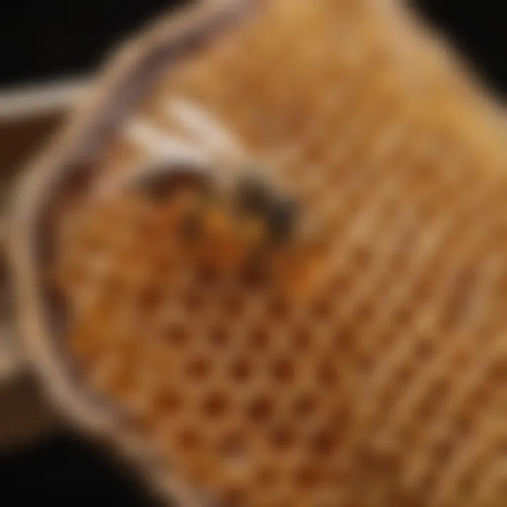 Harvesting Bee Honey - Uncapping Honeycomb