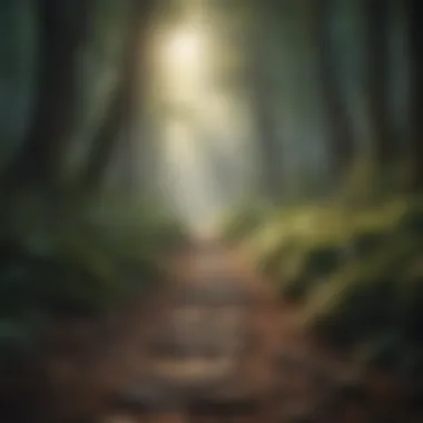 Spiritual Awakening Through Forest Path