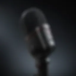 Wireless Microphone Freedom